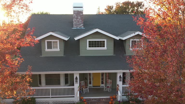 Best Chimney Flashing Repair  in Bellevue, IA