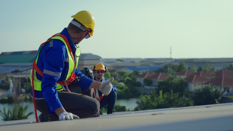 Best Chimney Flashing Repair  in Bellevue, IA