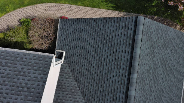 Best Roof Replacement  in Bellevue, IA